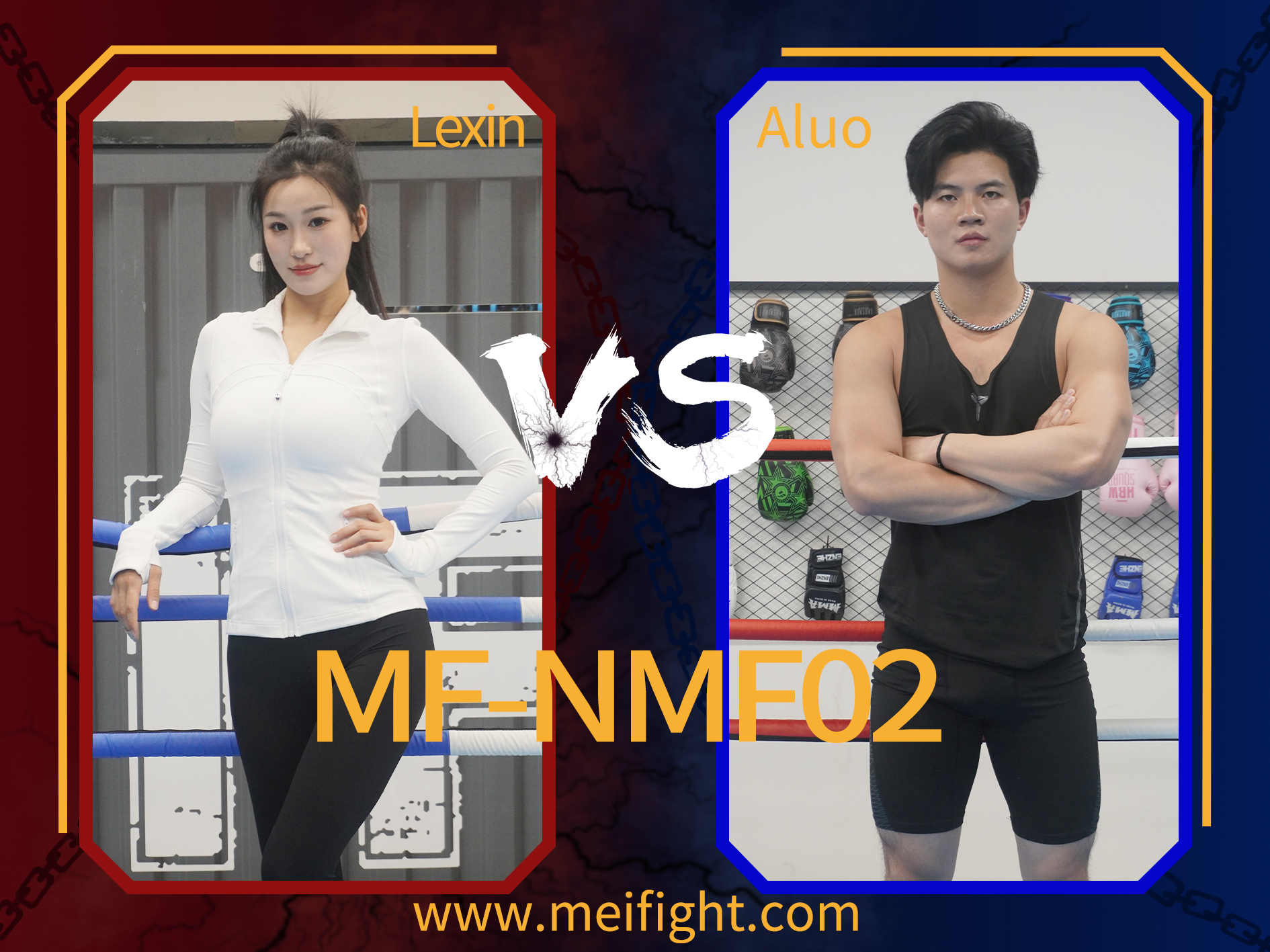 MF-NMF02-Lexin VS Aluo