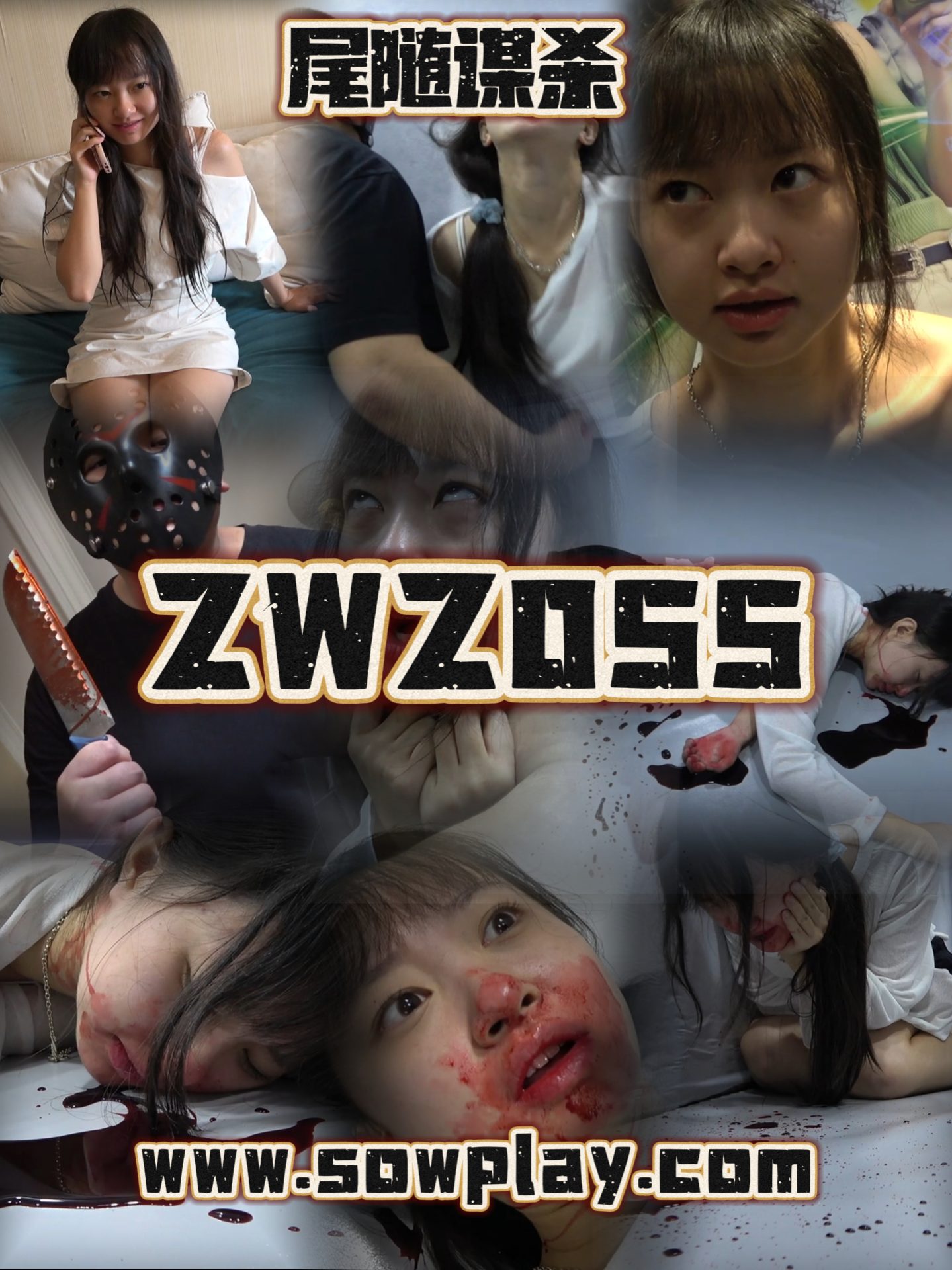 Z055 shishi VS wjn