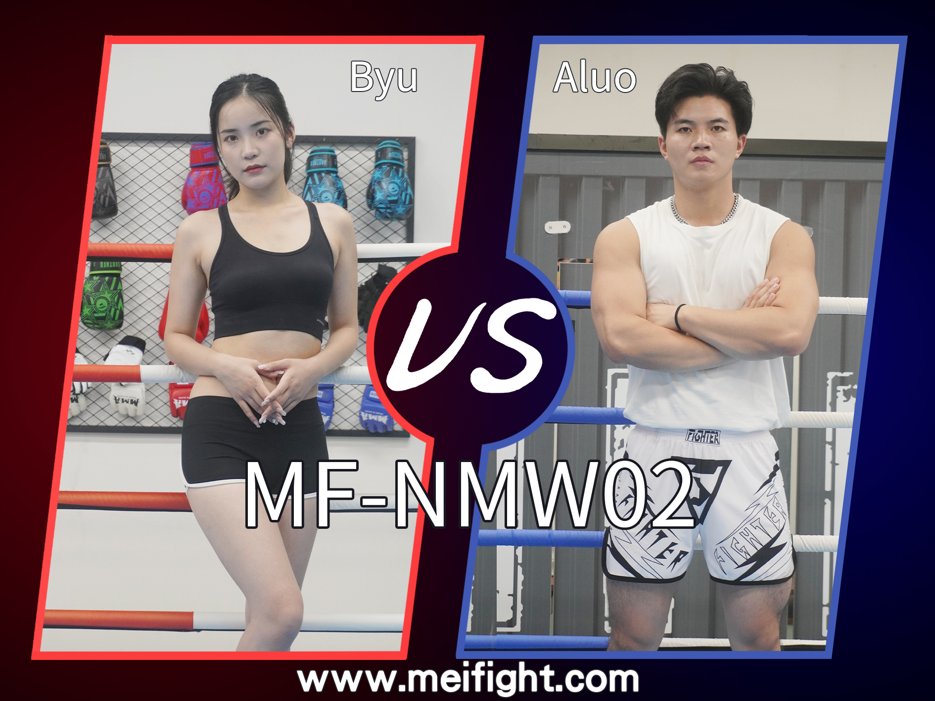 MF-NMW02-Byu VS Aluo