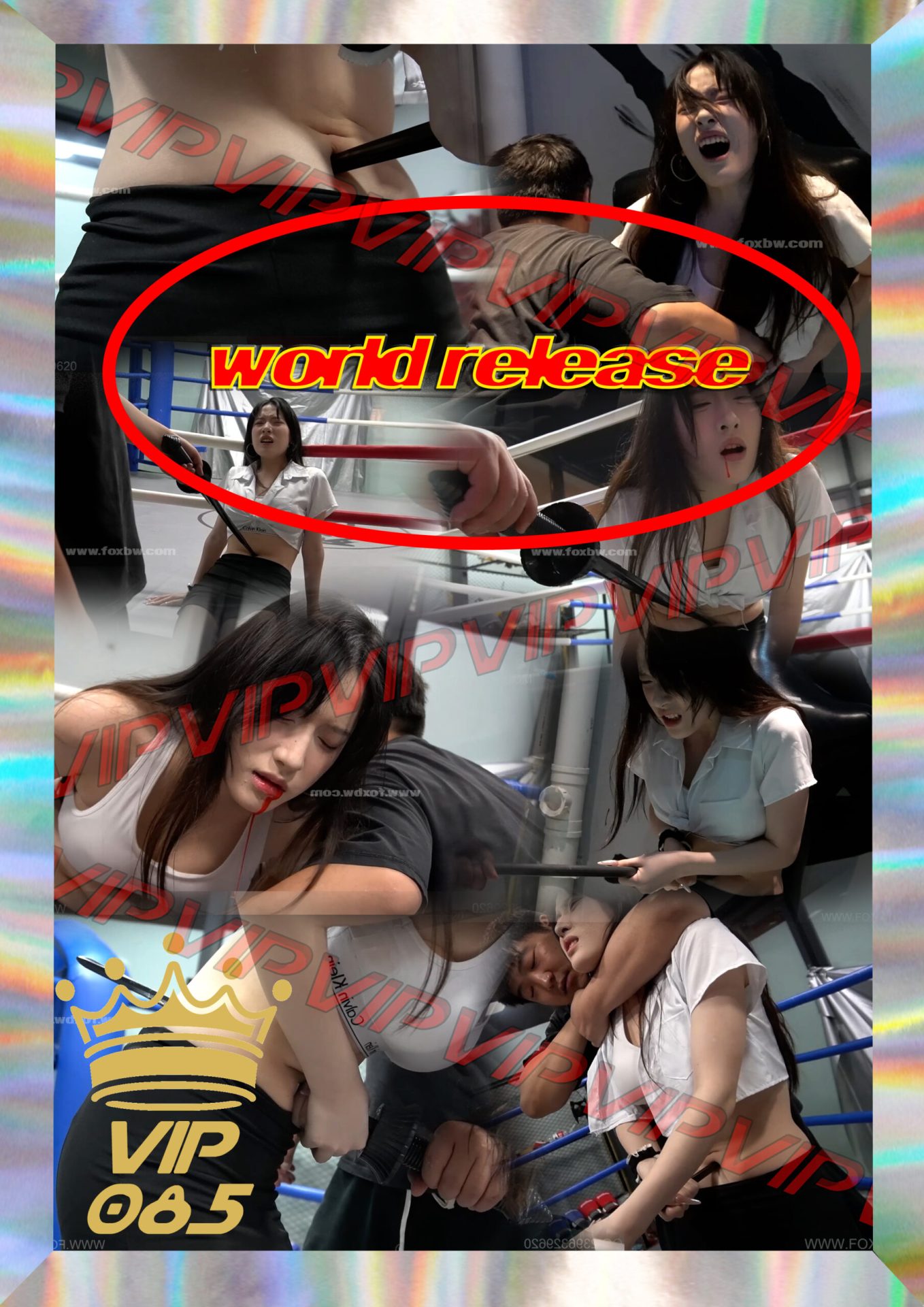 【FoxBw】VIP-085
