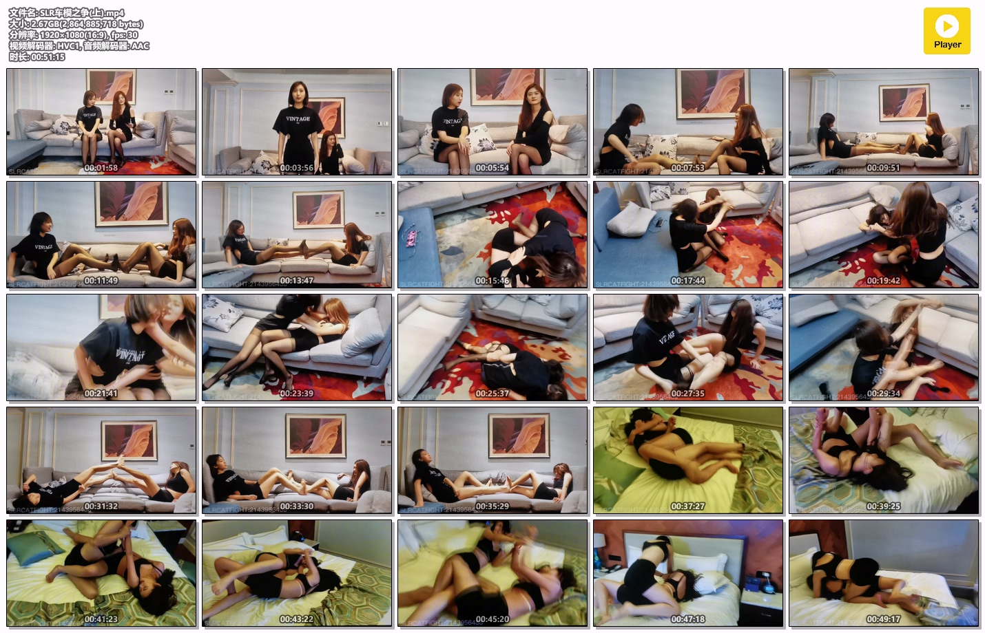 SLR车模之争(上)