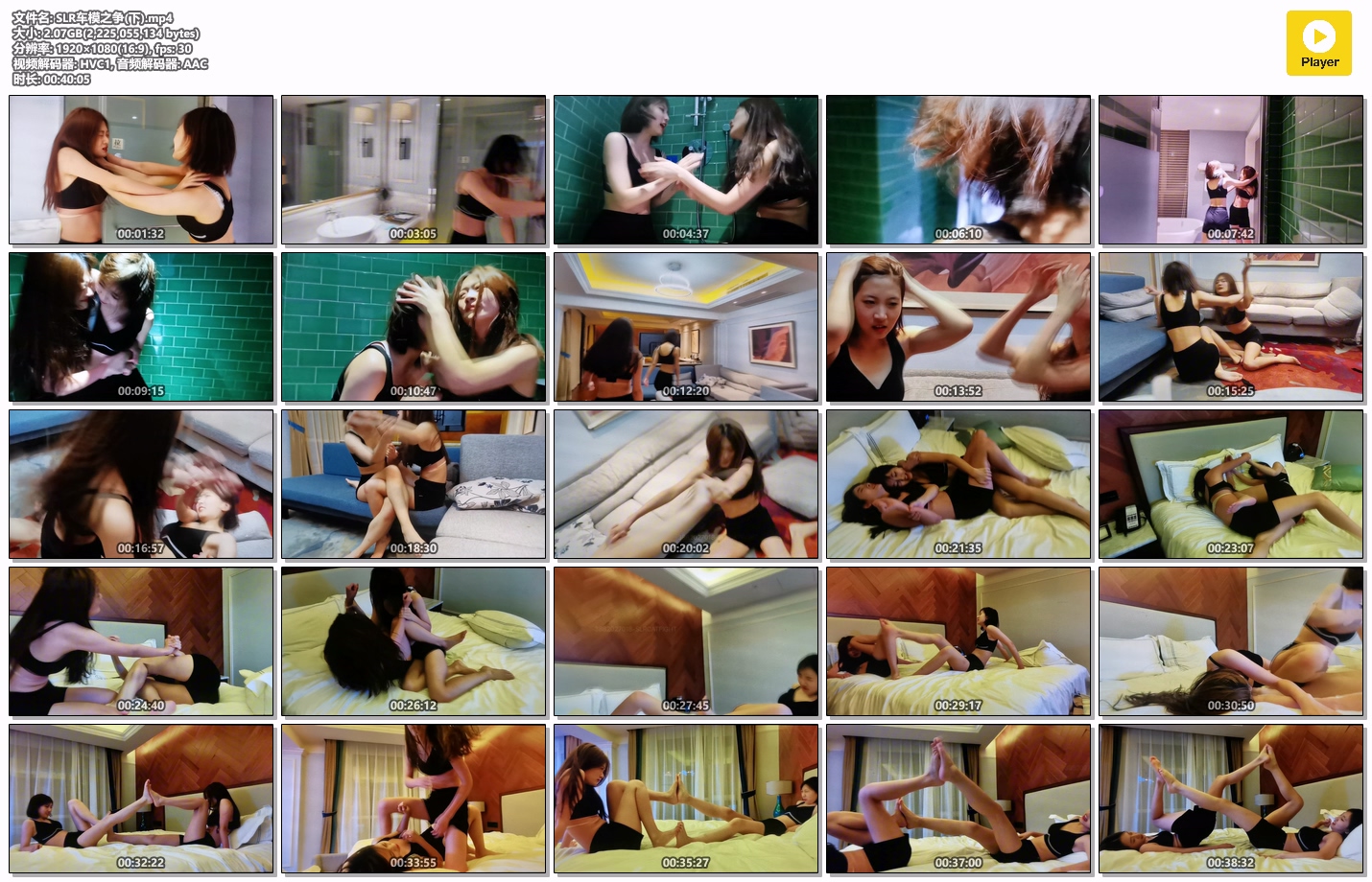 SLR车模之争(下)