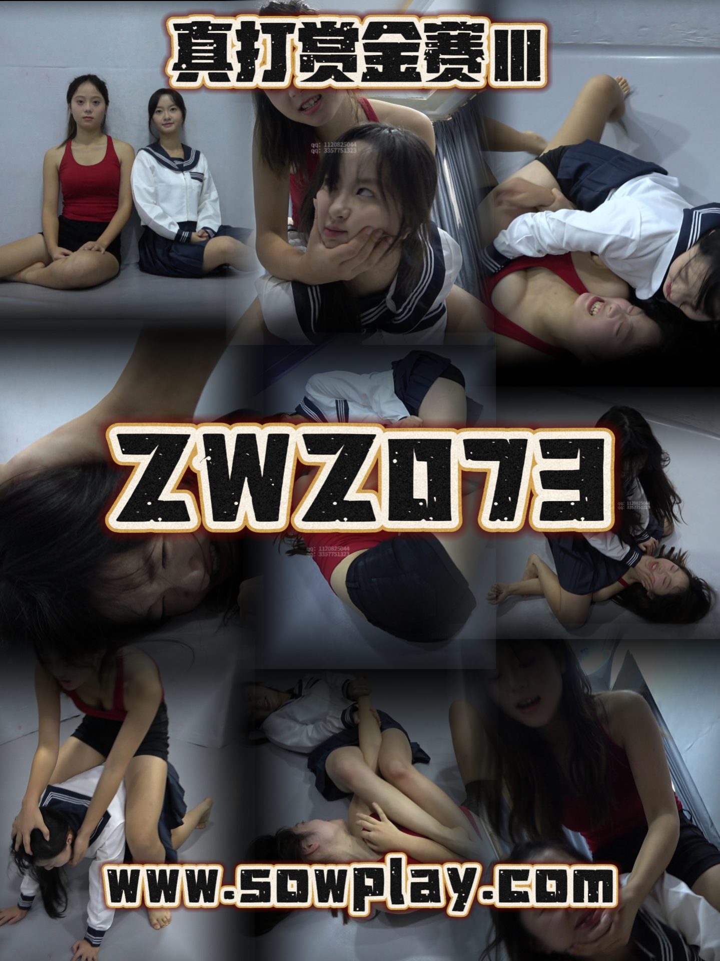 Z073 chengcheng VS shishi