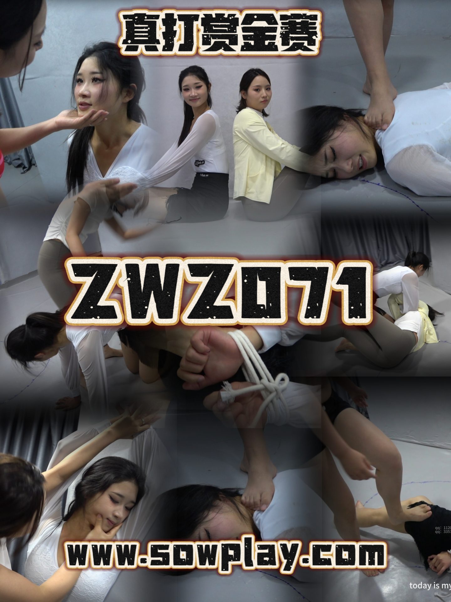 Z071 xiaoqi VS xiaomei