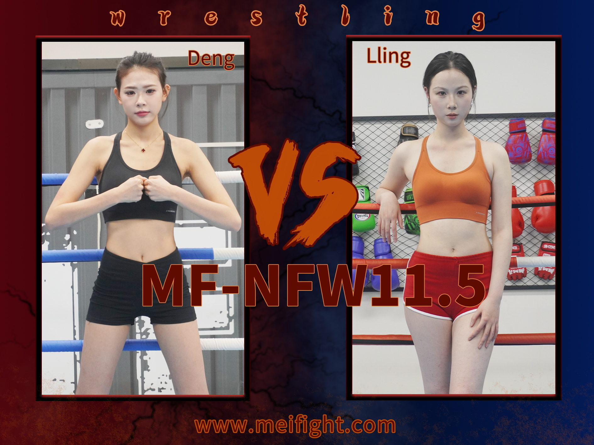 MF-NFW11.5-Deng VS Lling
