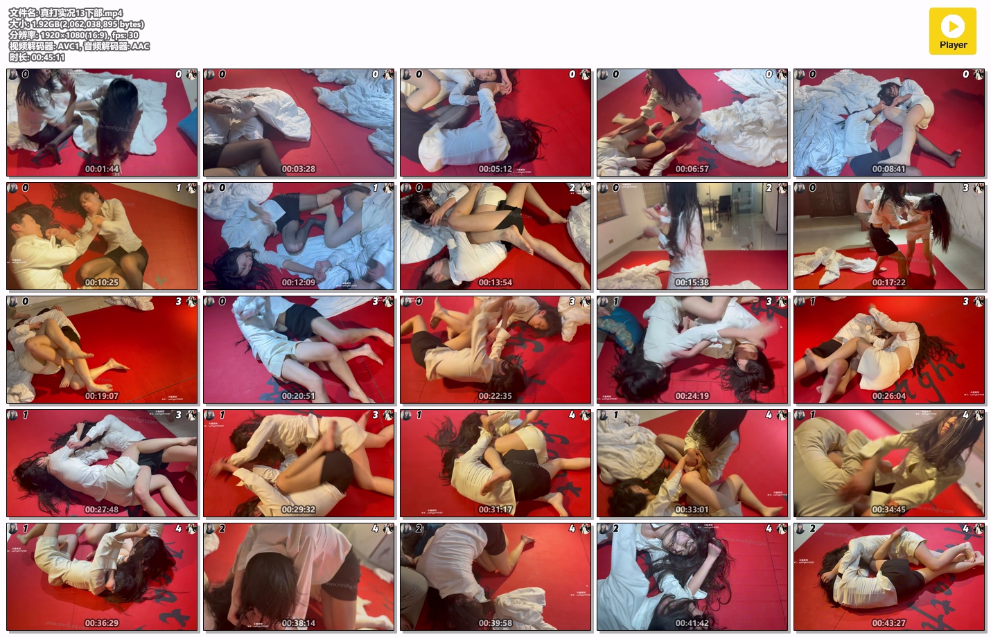 真打实况13下部