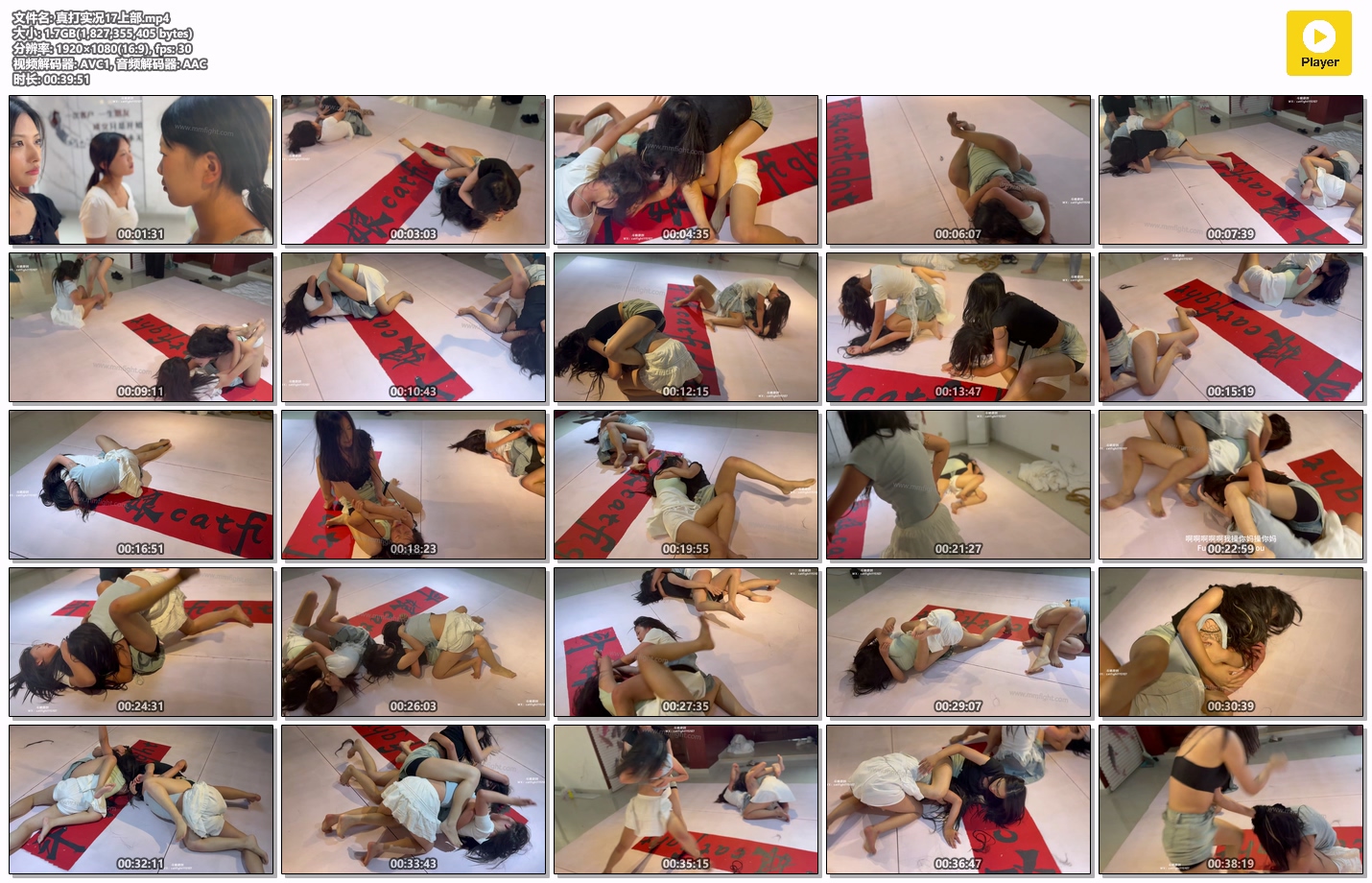 真打实况17上部