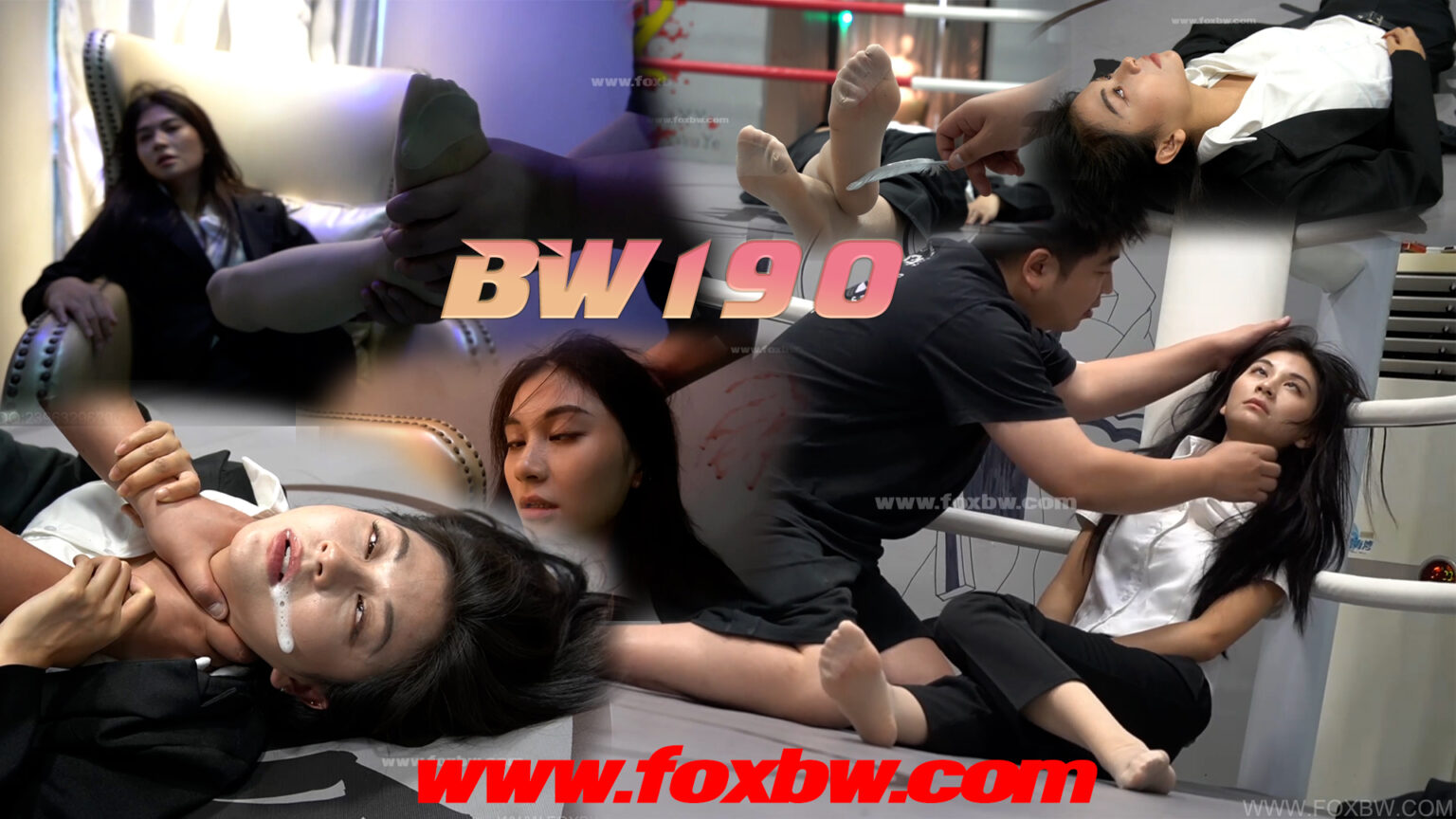 BW-190 xiaodie VS zhaoyong