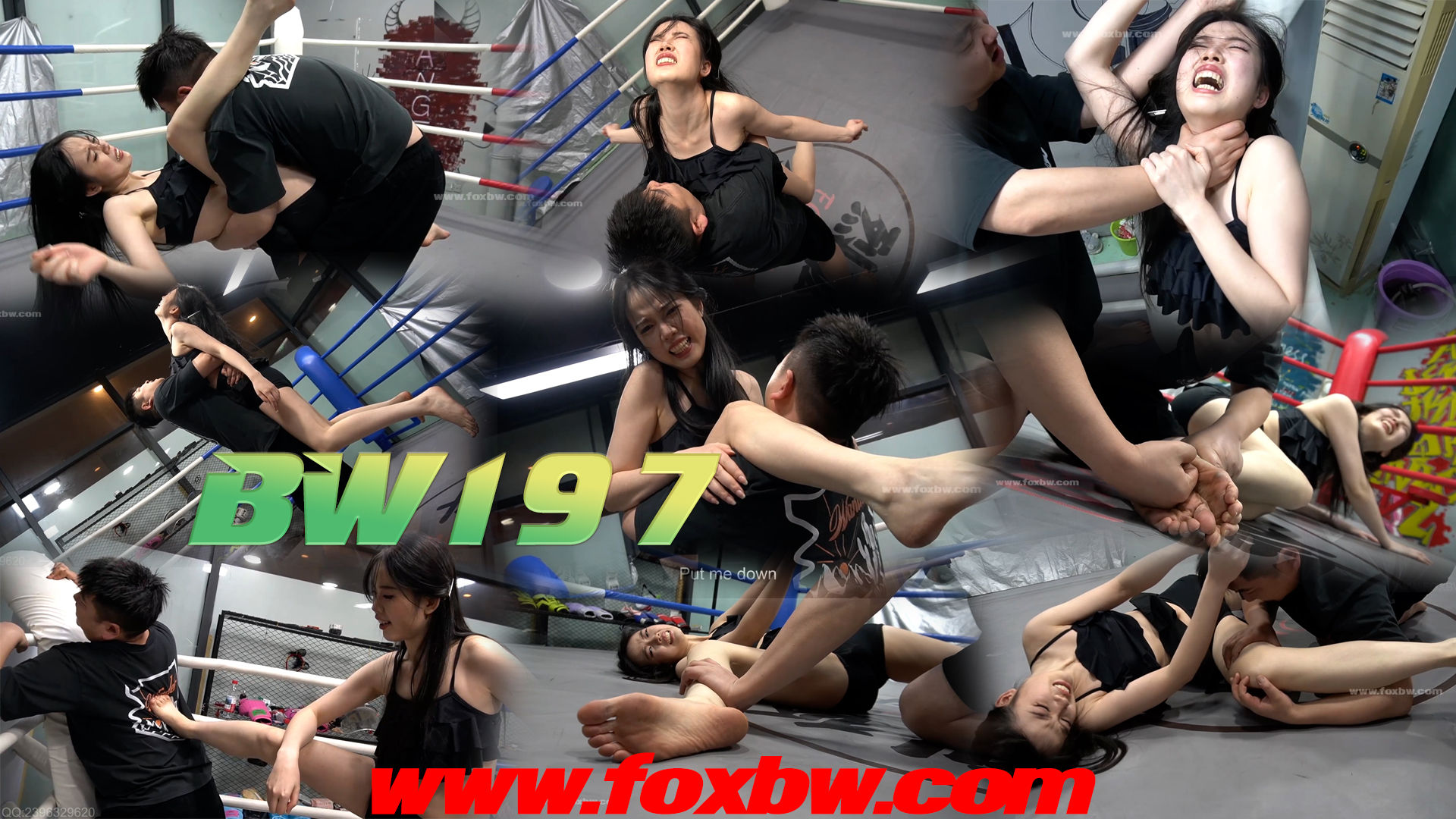 BW-197 yuecan VS zhaoyong
