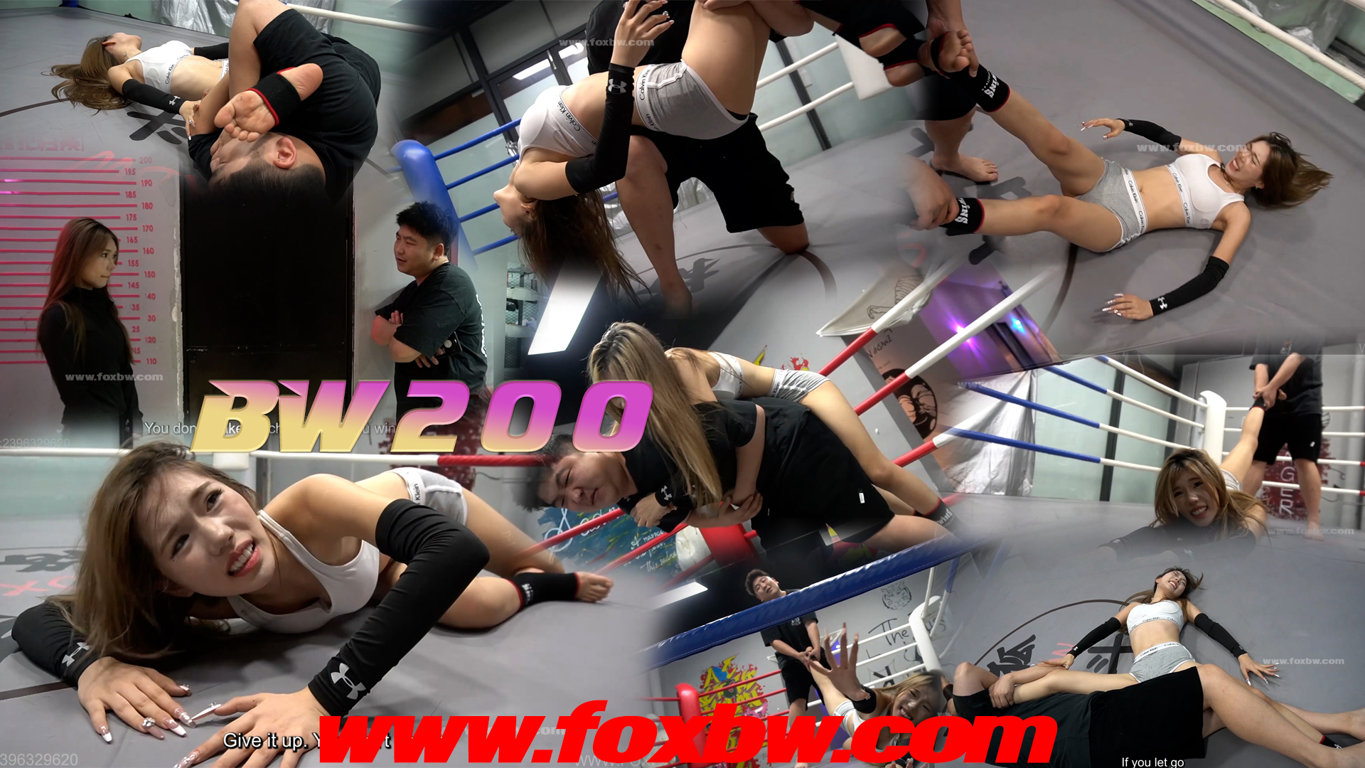 BW-200 yangyang VS zhaoyong