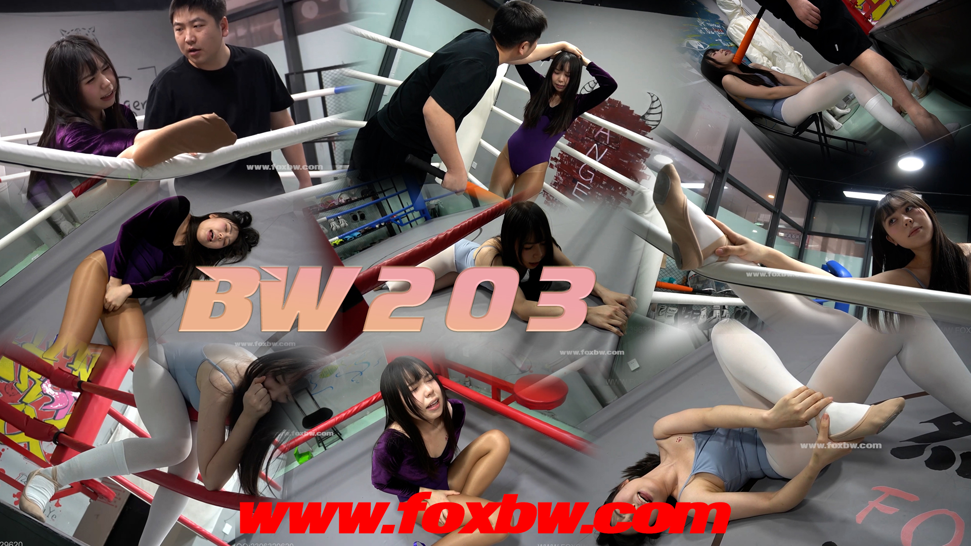 BW-203 ruier VS zhaoyong