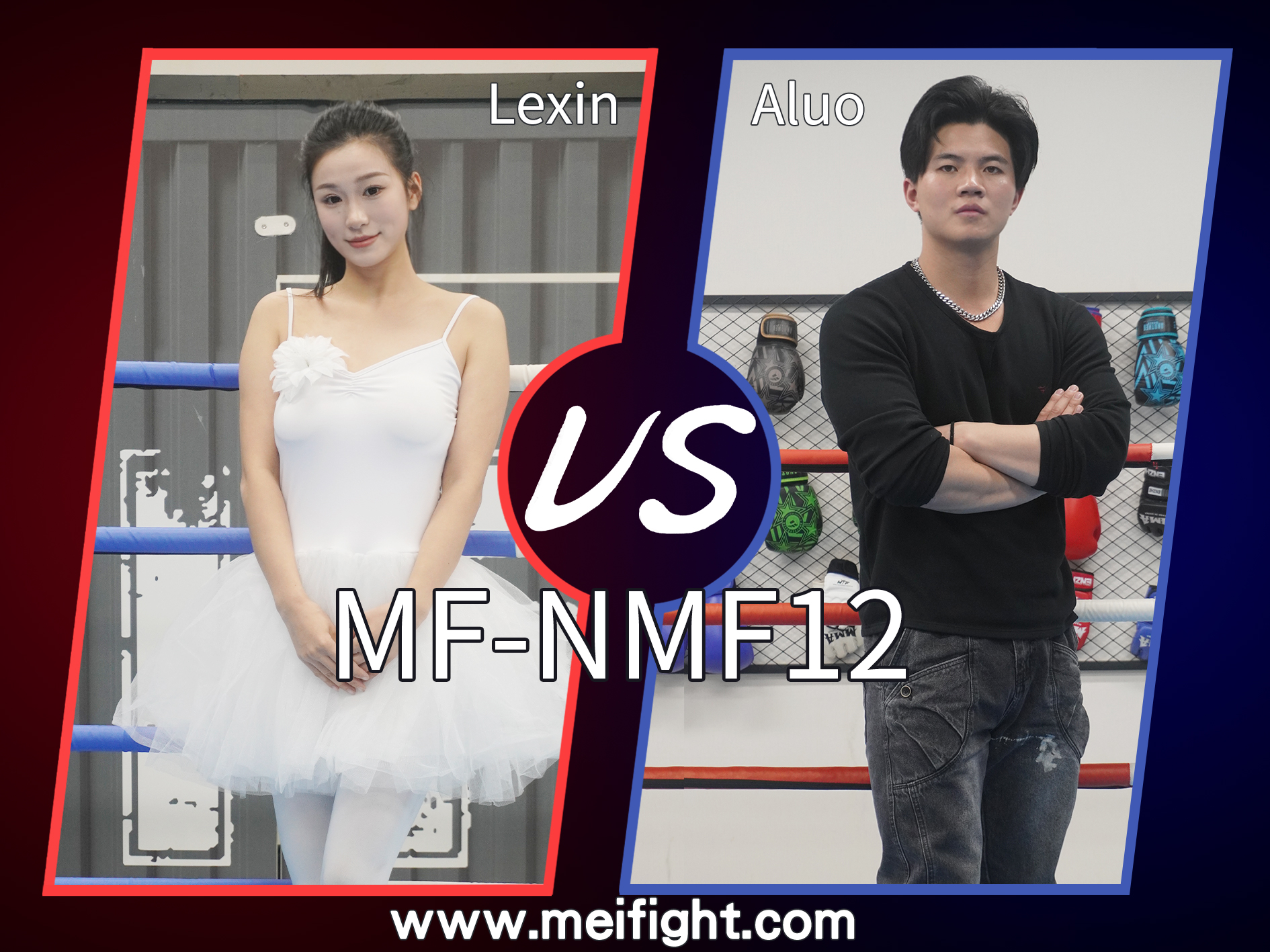 MF-NMF12-Lexin VS Aluo